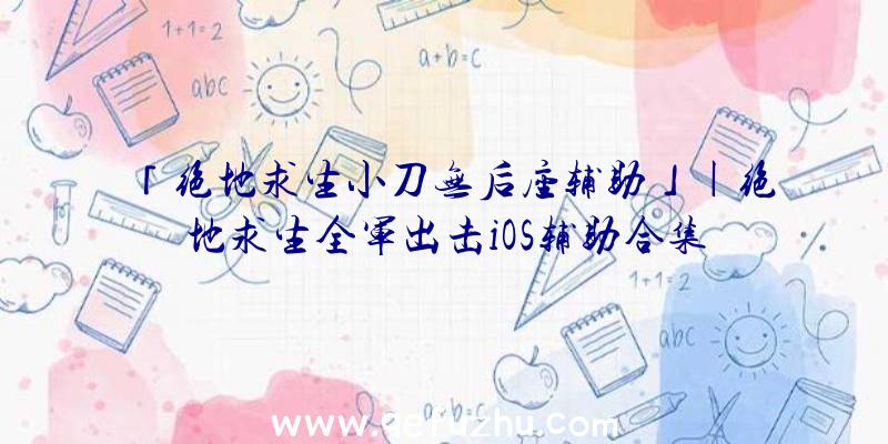 「绝地求生小刀无后座辅助」|绝地求生全军出击iOS辅助合集